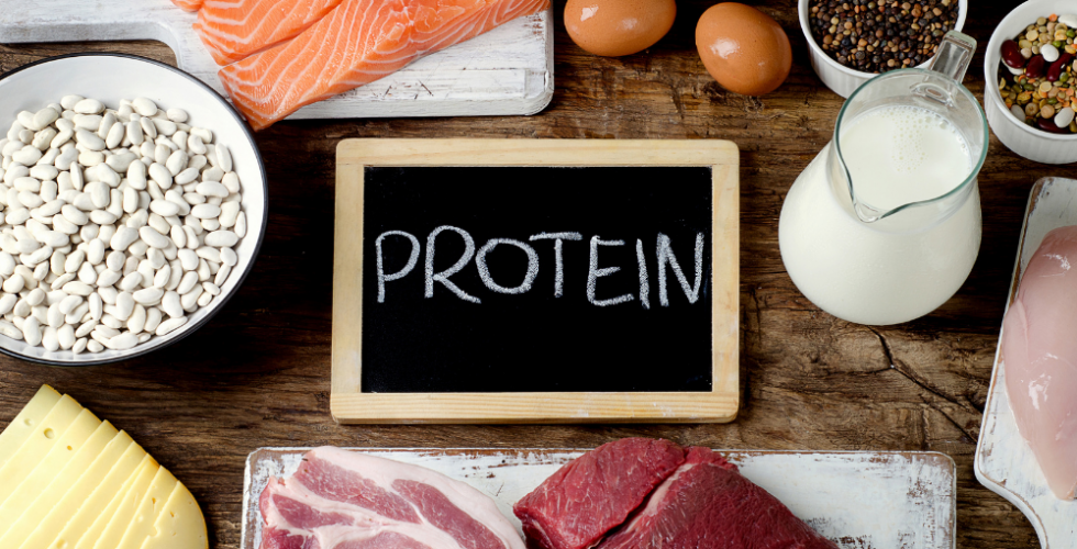 Protein